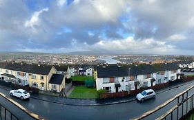 The View